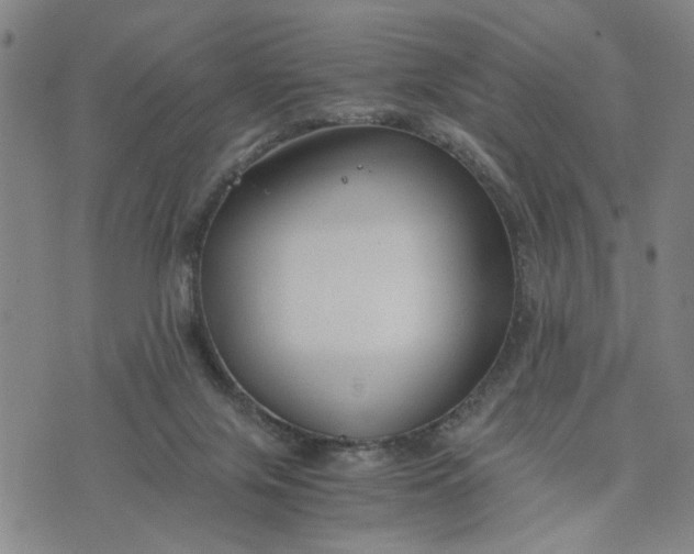 X0000076330071200610161719