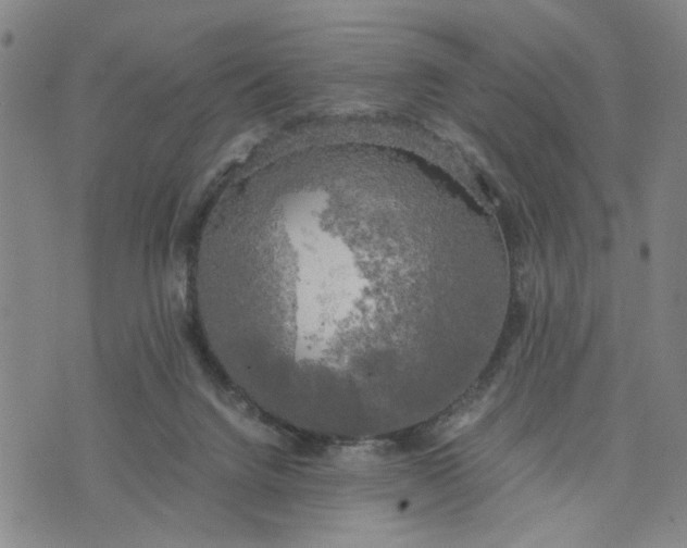 X0000076330072200610161719