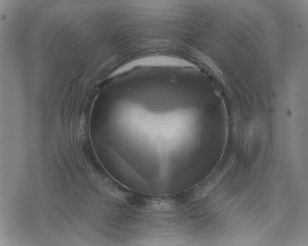 X0000076330073200610161719