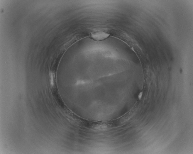 X0000076330075200610161719