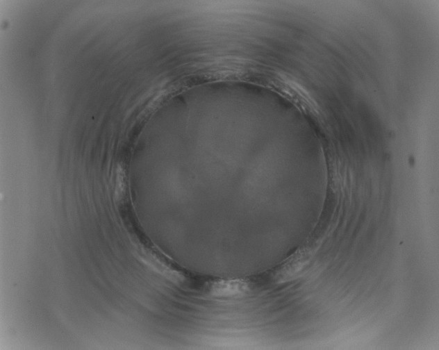 X0000076330077200610161719