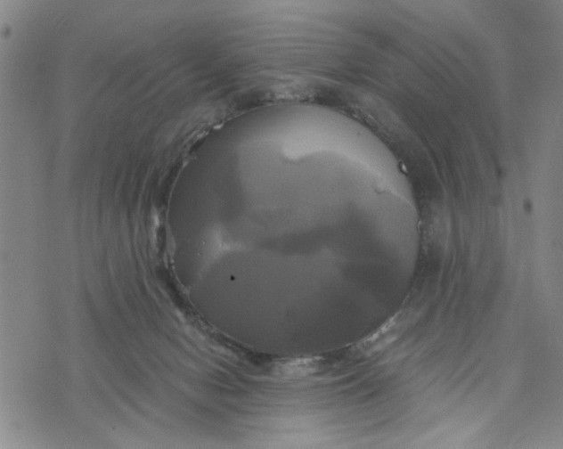 X0000076330078200610161719