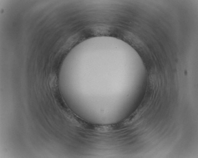 X0000076330079200610161719