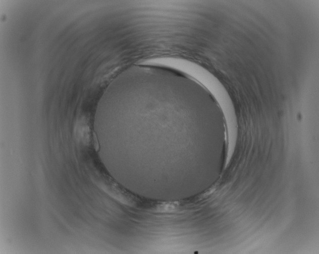 X0000076330080200610161719