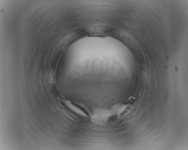 X0000076330081200610161719