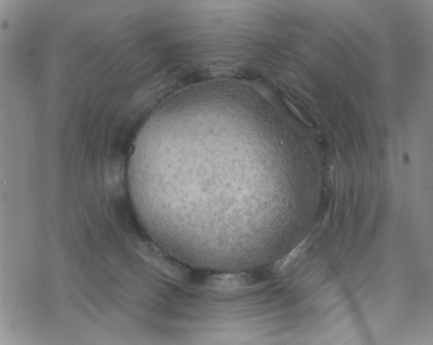 X0000076330082200610161719