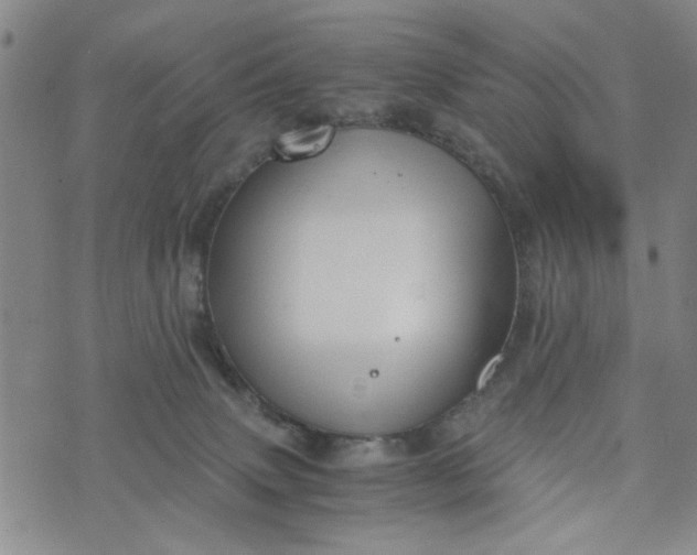 X0000076330083200610161719