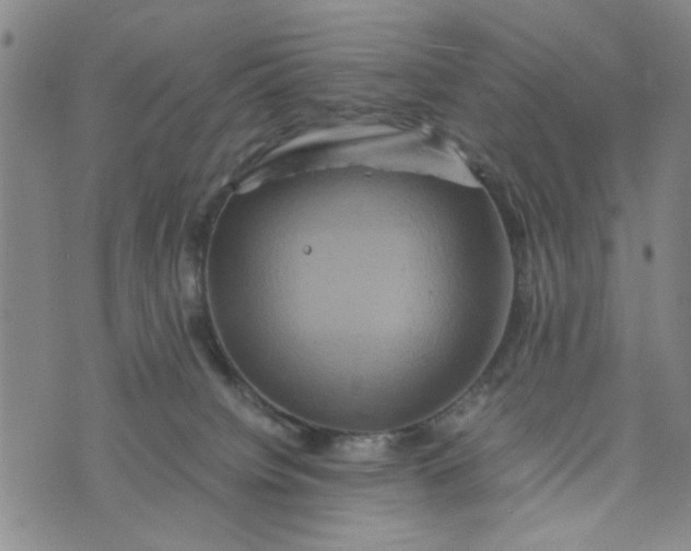 X0000076330084200610161719