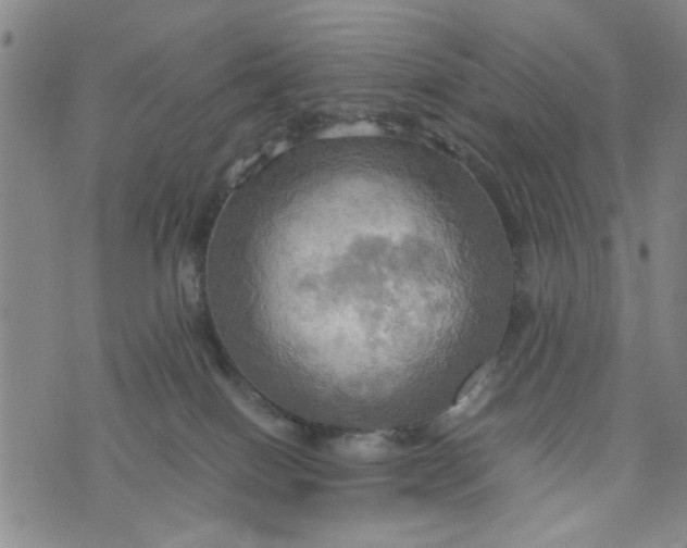 X0000076330086200610161719