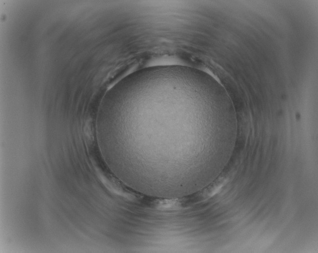 X0000076330088200610161719