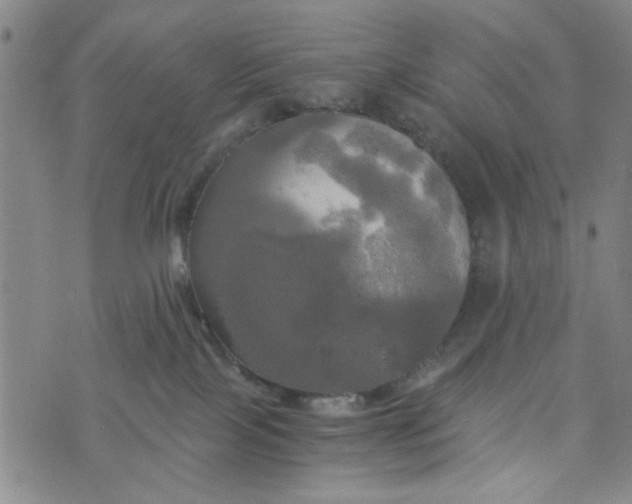 X0000076330089200610161719