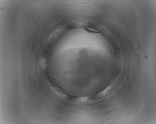 X0000076330090200610161719