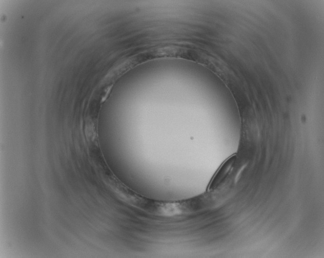 X0000076330091200610161719