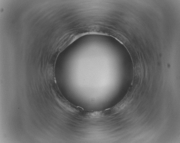 X0000076330092200610161719