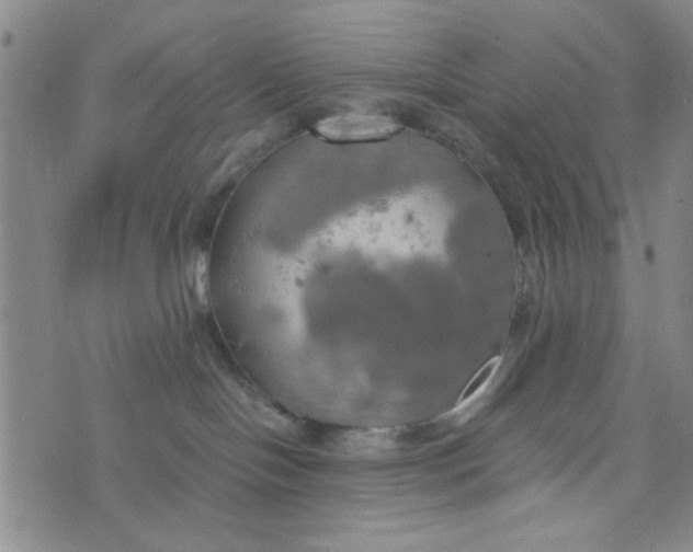 X0000076330094200610161719