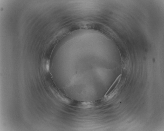 X0000076330095200610161719