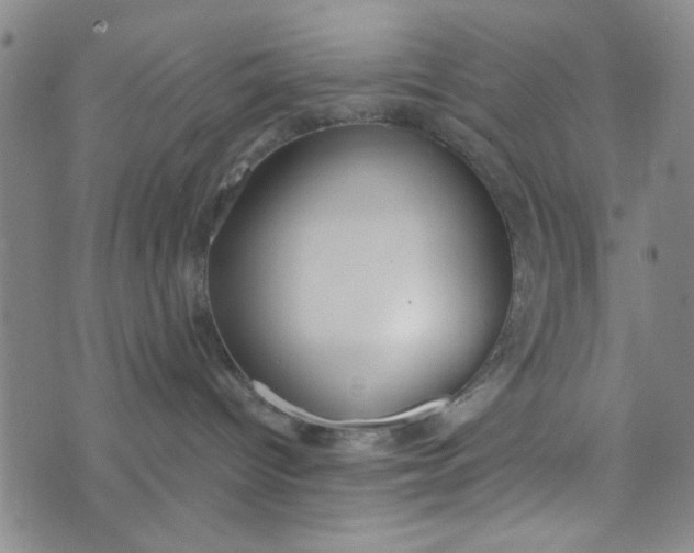 X0000076330096200610161719