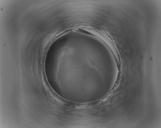 X0000076330097200610161719