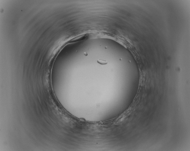 X0000076330098200610161719