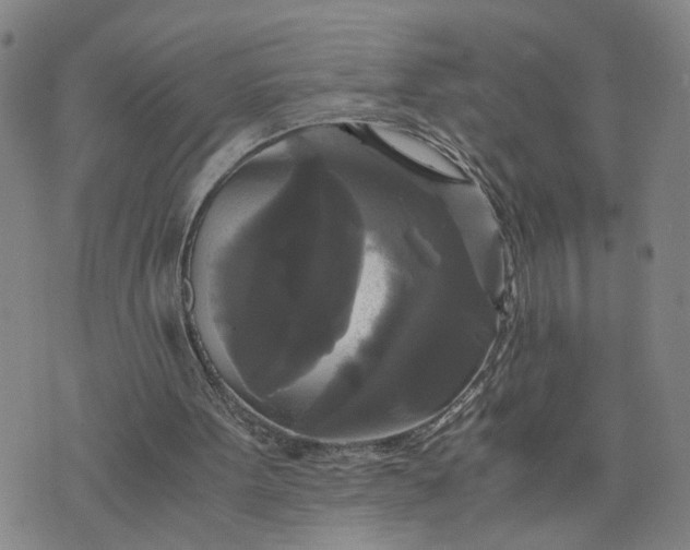 X0000076330099200610161719