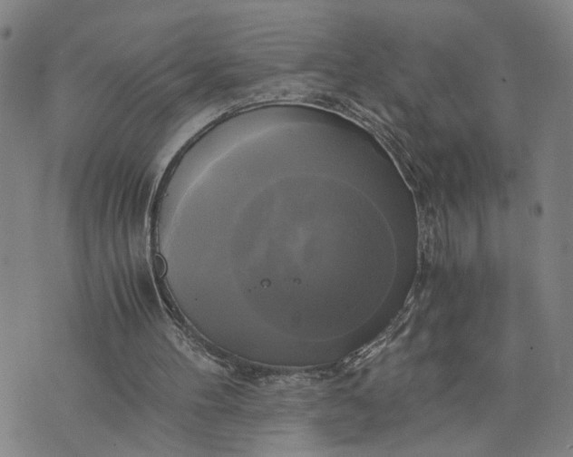 X0000076330100200610161719