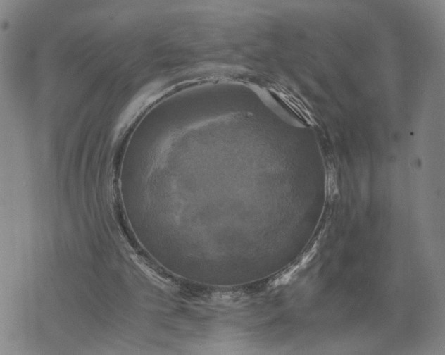 X0000076330101200610161719