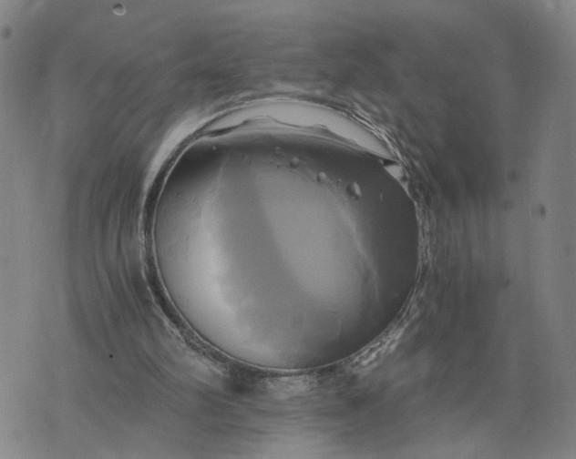 X0000076330102200610161719