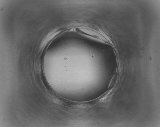 X0000076330103200610161719