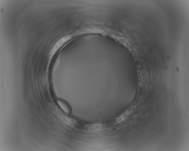 X0000076330104200610161719