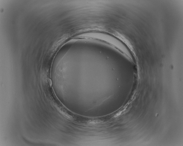 X0000076330105200610161719