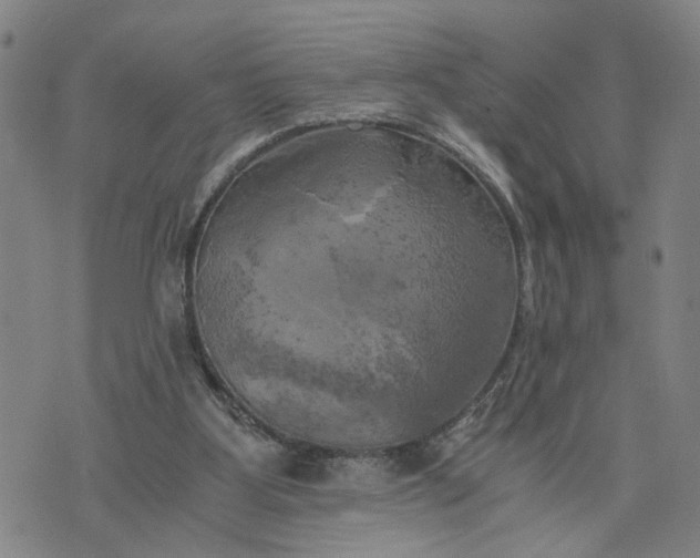 X0000076330107200610161719