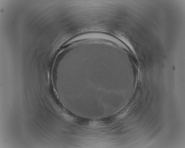 X0000076330109200610161719