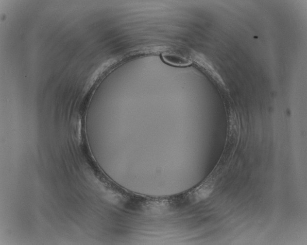 X0000076330110200610161719