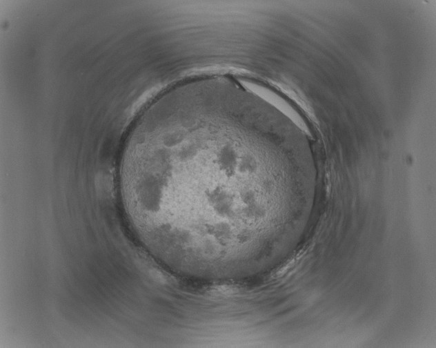 X0000076330111200610161718