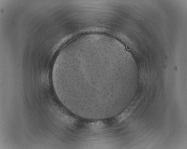 X0000076330112200610161718