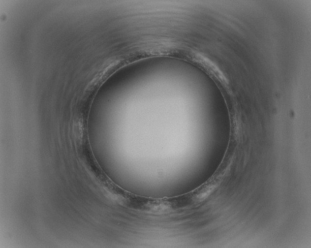 X0000076330113200610161718