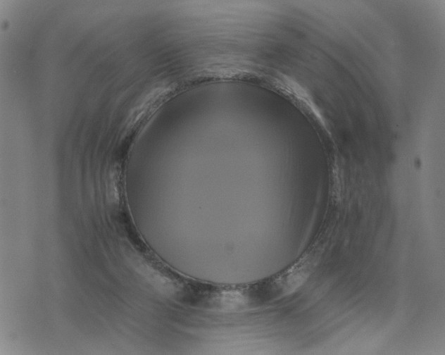 X0000076330114200610161718