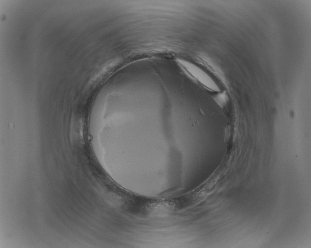 X0000076330115200610161718