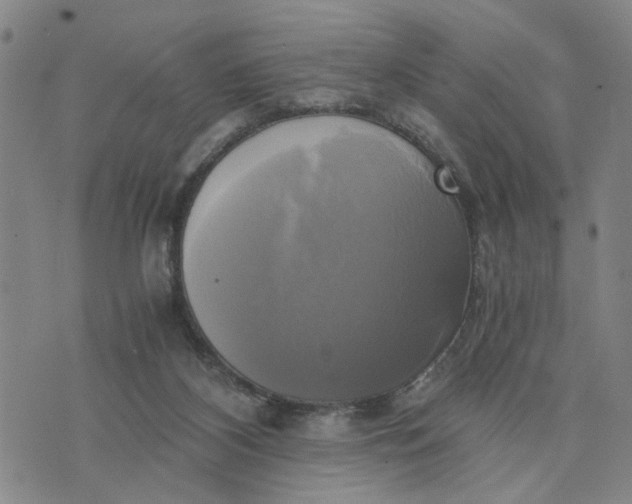 X0000076330116200610161718