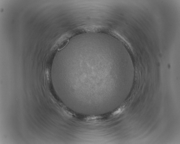 X0000076330117200610161718