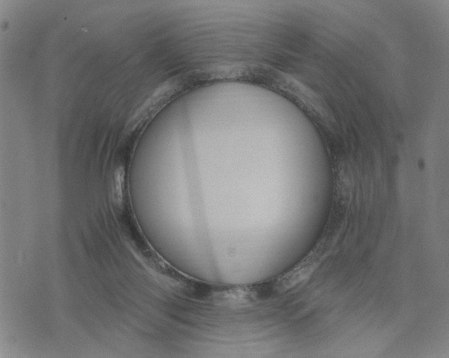 X0000076330118200610161718