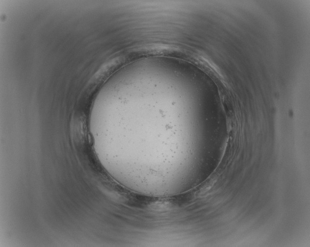 X0000076330119200610161718