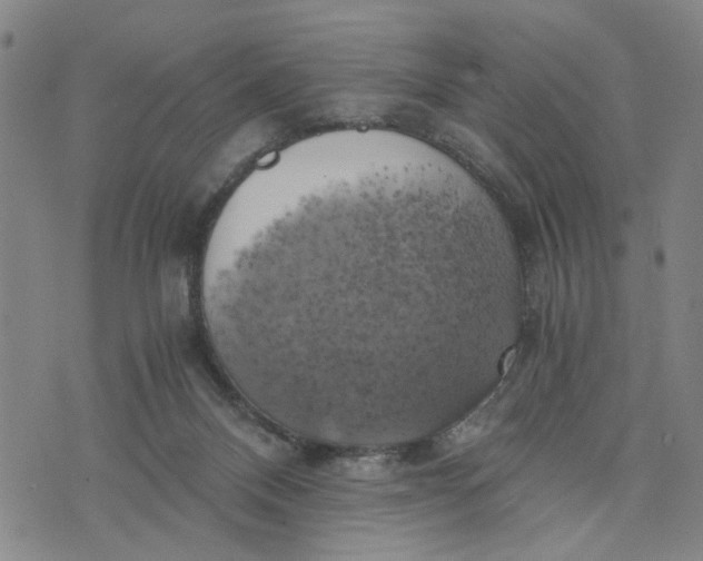 X0000076330120200610161718