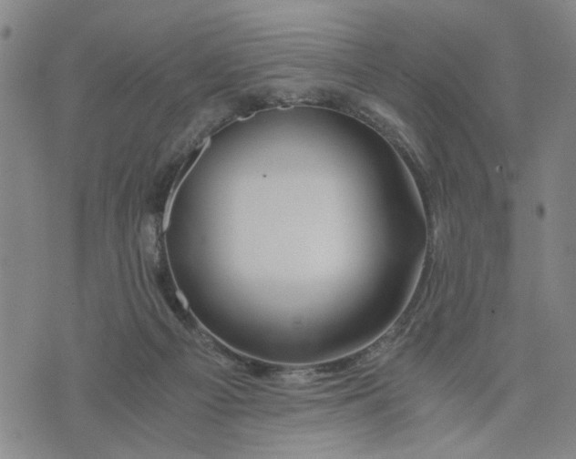 X0000076330121200610161718