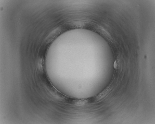 X0000076330122200610161718