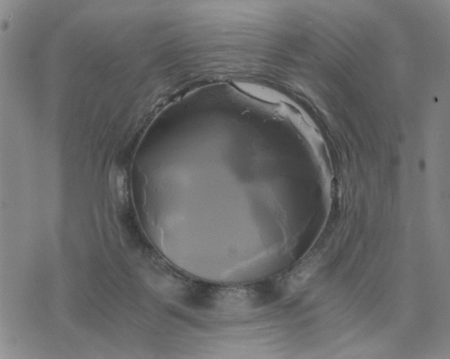 X0000076330123200610161718