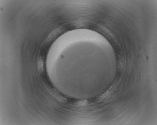 X0000076330124200610161718