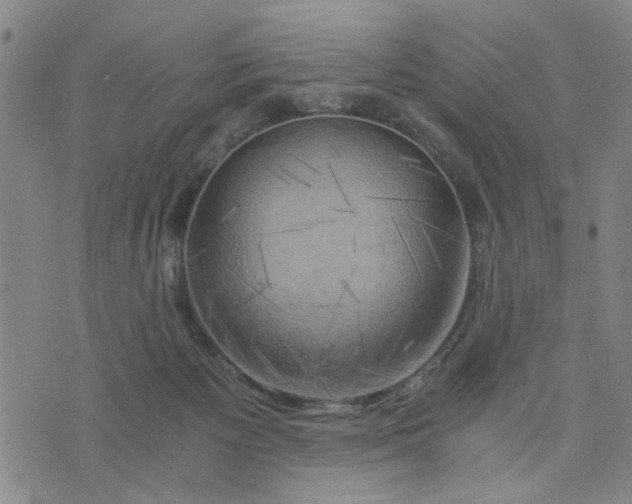 X0000076330125200610161718