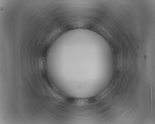 X0000076330126200610161718