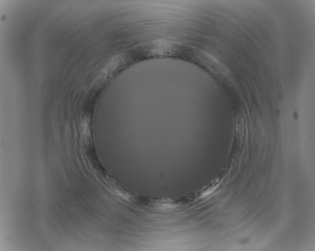 X0000076330127200610161718